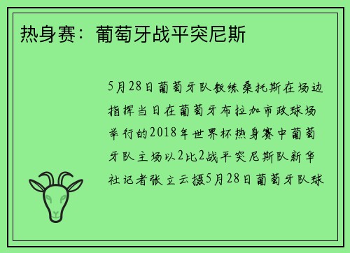 热身赛：葡萄牙战平突尼斯